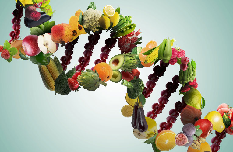 Healthy food in the shape of a DNA Helix